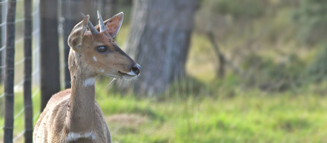 Nature Reserves in Cape St Francis