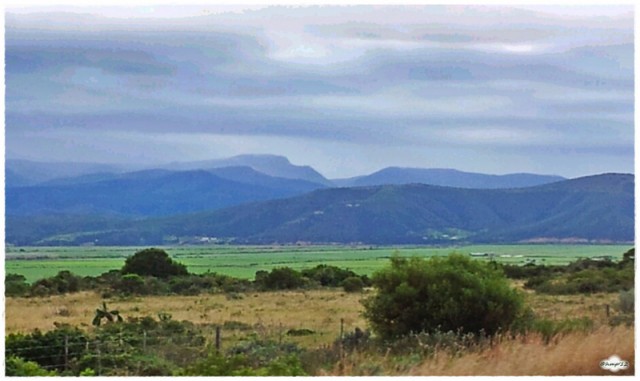 Experience the Valley