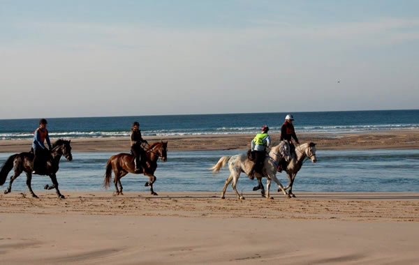 Beach Horse Riding