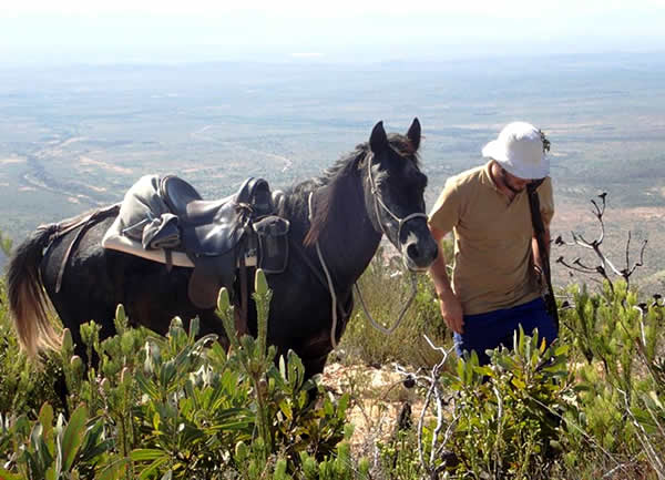 Horseriding Kareedouw