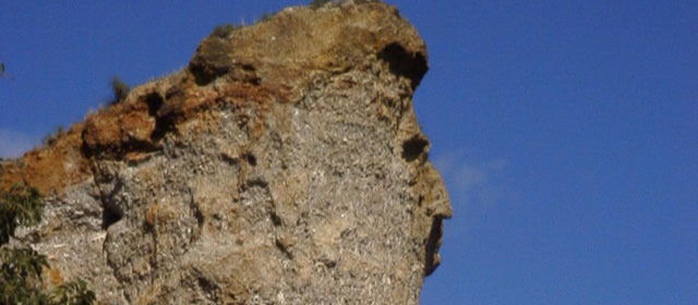Queen Victoria’s profile