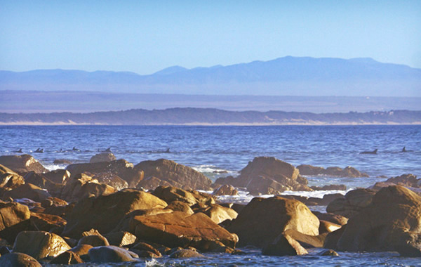 Beaches