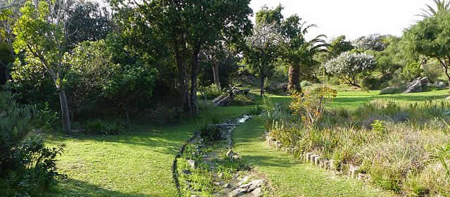 St Francis Community Garden