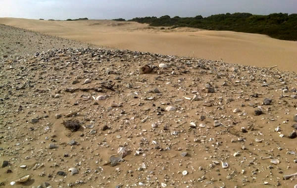Dune middens