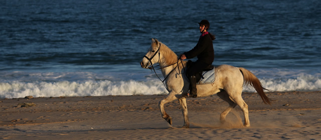 Featherfoot Farm Horse Rides