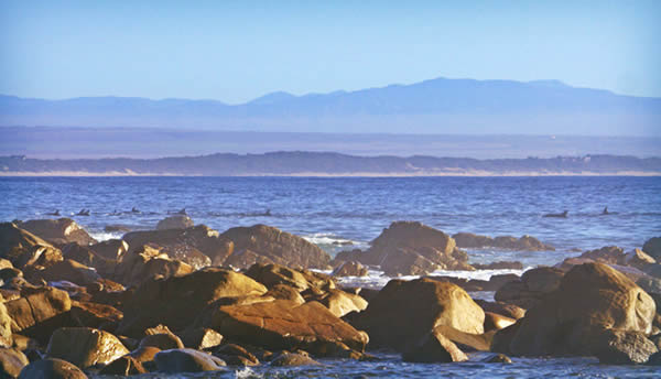 Pristine nature reserves, a rocky shoreline and historic buildings contribute to making the Kouga one of the most magical locations on the Eastern Cape Coastline.