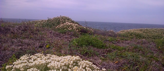 Romazini Valley
