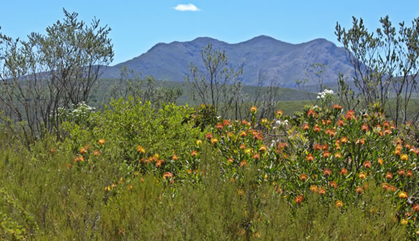Baviaans Nature Reserve